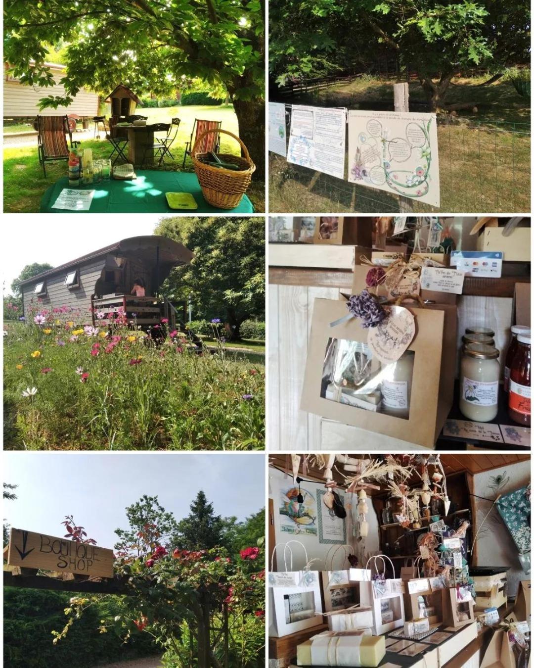 Saint-Vincent-en-Bresse Roulotte Irlandaise Polly酒店 外观 照片
