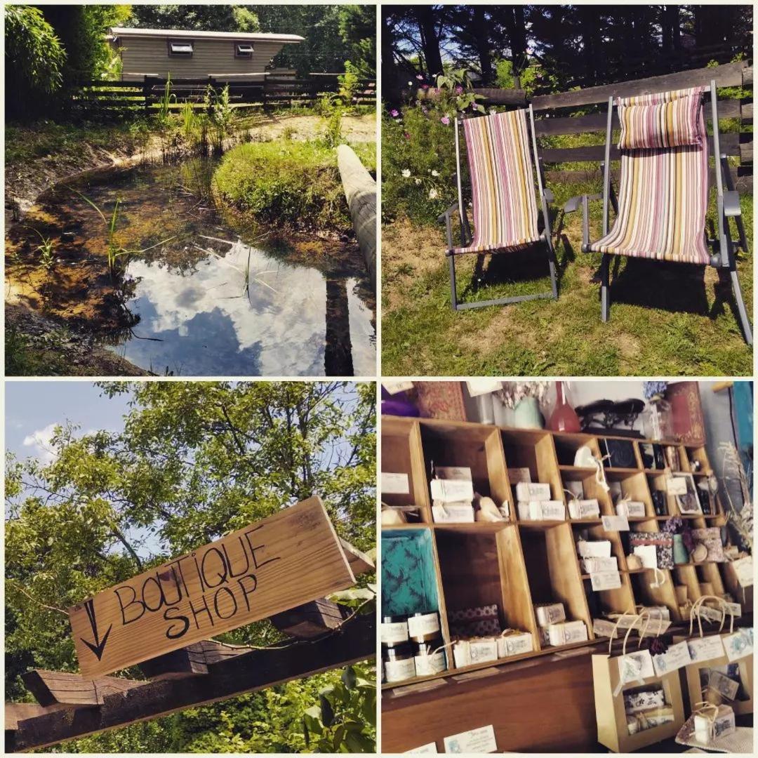 Saint-Vincent-en-Bresse Roulotte Irlandaise Polly酒店 外观 照片